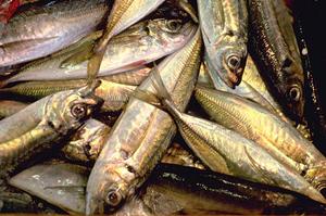 業務用厨房機器の選び方完全ガイド：コスト削減と効率化を実現する最新機器の全貌