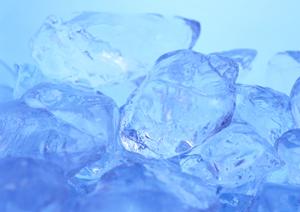 高級弁当宅配サービス2025年完全ガイド：贅沢な味と上質な時間を楽しむための選び方