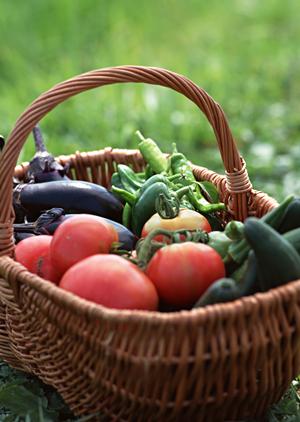 へぎそばの魅力を理解する上での基礎知識