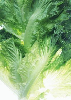 【2025年最新版】浅草で極上のもんじゃ体験！絶対満足の人気店と絶品アレンジ大公開