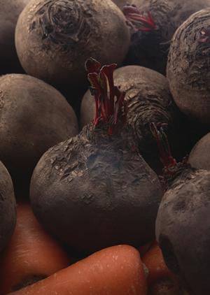 ふぐは信頼できる通販ショップで