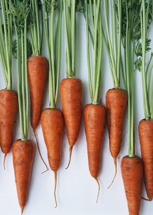 心斎橋の絶品カフェガイド2025｜地元民がおすすめする隠れ家＆人気店を徹底紹介