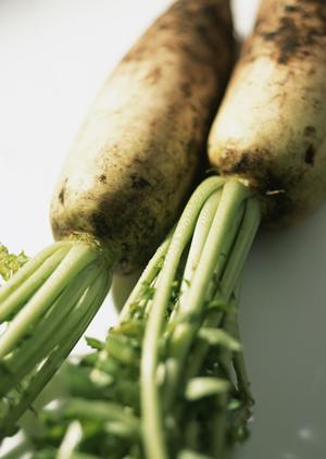 こだわりのふぐ料理を提供する越谷のお店