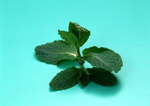 兵庫県たつの市にある庶民の精肉店