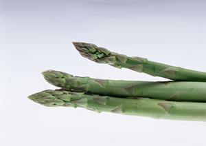 恵比寿で楽しむシーシャの新たな魅力とは？